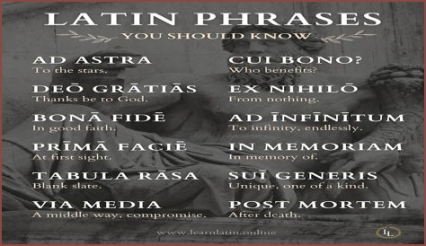 A Profile Of A Latin Beauty